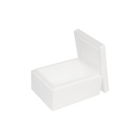 EPS-styrox-laatikko 10 L, 400 x 300 x 200 mm