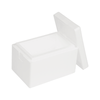 EPS-styrox-laatikko 4,7 L, 300 x 200 x 200 mm