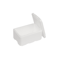 EPS-styrox-laatikko 5 L, 300 x 200 x 155 mm